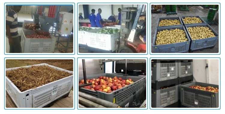Detail-04